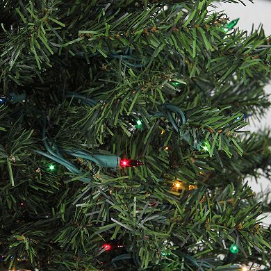 Northlight Pre-Lit Canadian Pine Artificial Christmas Wreath with Multi-Color Lights