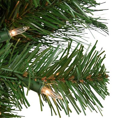 Northlight Mixed Beaver Pine Artificial Christmas Wreath with Clear Lights