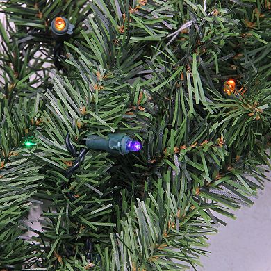 Northlight Pre-Lit LED Canadian Pine Artificial Christmas Wreath with Multicolor Lights
