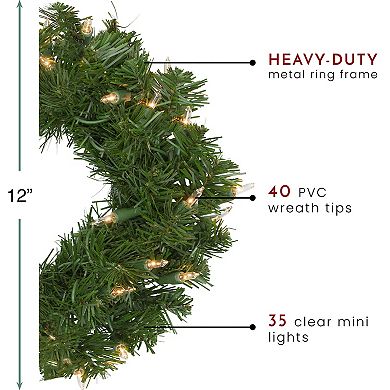 Northlight Pre-Lit Deluxe Windsor Pine Artificial Christmas Wreath with Clear Lights