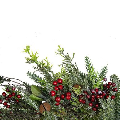 Northlight Frosted Pine & Berry Artificial Christmas Wreath
