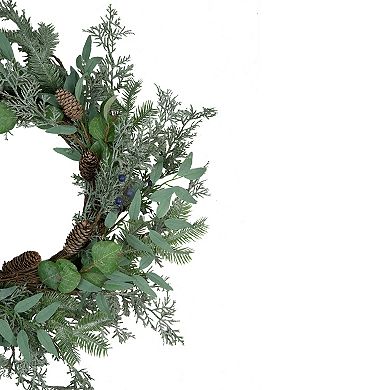 Northlight Frosted Green Mixed Foliage & Blueberries Artificial Christmas Wreath