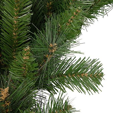 Northlight Beaver Pine Mixed Artificial Christmas Wreath