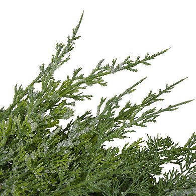 Northlight Frosted Cedar & Pine Cone Artificial Christmas Wreath