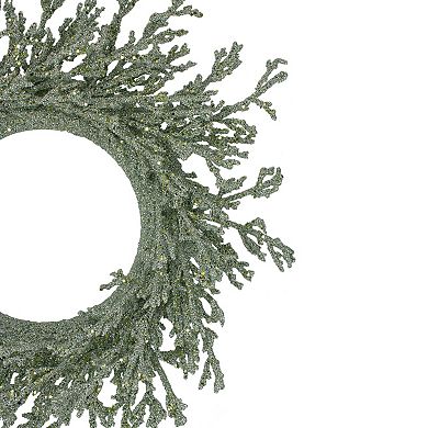Northlight 20" Green Glittered Artificial Coral Christmas Wreath