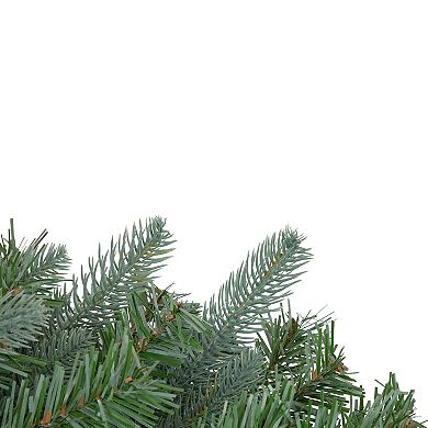 Northlight Granville Fraser Fir Artificial Christmas Wreath