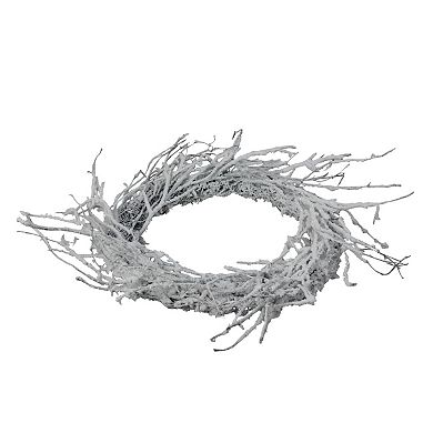 Northlight Snow Flocked & Iridescent Glitter Twig Artificial Christmas Wreath
