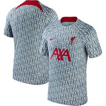 Men's Nike Gray Liverpool 2023 Pre-Match Performance Top