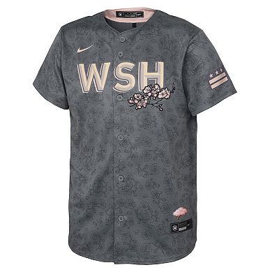 Infant Nike Gray Washington Nationals 2022 City Connect Replica Jersey