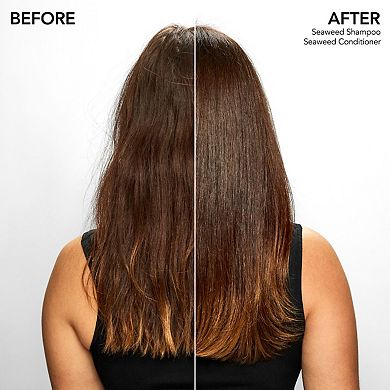 Seaweed Nourishing Shampoo