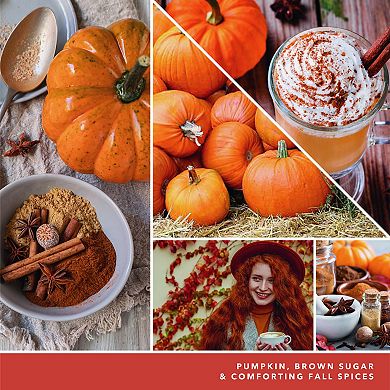 Yankee Candle Studio Collection Spiced Pumpkin 10-oz. Scented Candle Jar