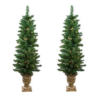 Northlight 4-ft. Set of 2 Pre-Lit Whitmire Pine Potted Artificial Christmas Trees