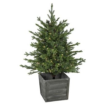 Northlight 4-ft. Pre-Lit Warm White LED Lights Potted Deluxe Russian Pine Artificial Christmas Tree