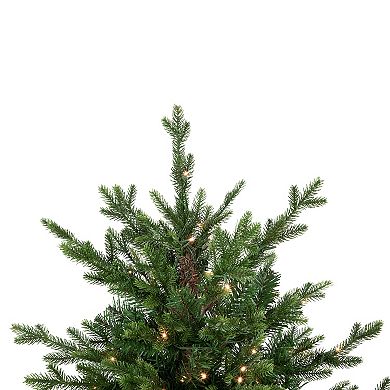 Northlight 4-ft. Pre-Lit Warm White LED Lights Potted Deluxe Russian Pine Artificial Christmas Tree
