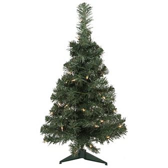 Northlight 2-ft. Pre-Lit Clear Lights Slim Blackwater Fir Artificial Christmas Tree