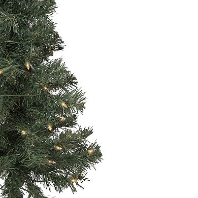 Northlight 2-ft. Pre-Lit Clear Lights Slim Blackwater Fir Artificial Christmas Tree