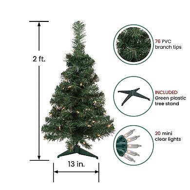 Northlight 2-ft. Pre-Lit Clear Lights Slim Blackwater Fir Artificial Christmas Tree