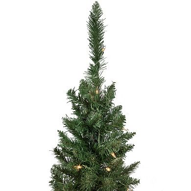 Northlight Pre-Lit 4-ft. Potted Porch Pine Topiary Slim Artificial Christmas Trees with Clear Lights 2 pc. Set