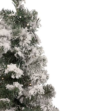 Northlight 2-ft. Pre-Lit Medium Flocked Bristol Pine Artificial Christmas Tree with Warm Clear LED Lights