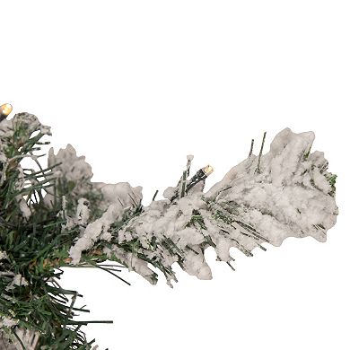 Northlight 2-ft. Pre-Lit Medium Flocked Bristol Pine Artificial Christmas Tree with Warm Clear LED Lights
