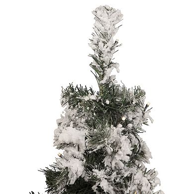 Northlight 2-ft. Pre-Lit Medium Flocked Bristol Pine Artificial Christmas Tree with Warm Clear LED Lights