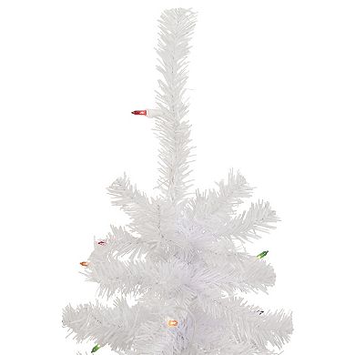 Northlight 2' Lighted Woodbury White Pine Slim Artificial Christmas Tree - Multi Lights