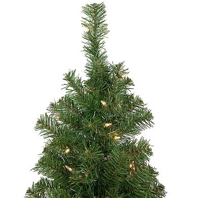 Northlight 3' Pre-Lit Oakridge Noble Fir Artificial Christmas Tree - Clear Lights