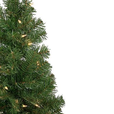 Northlight 3' Pre-Lit Oakridge Noble Fir Artificial Christmas Tree - Clear Lights