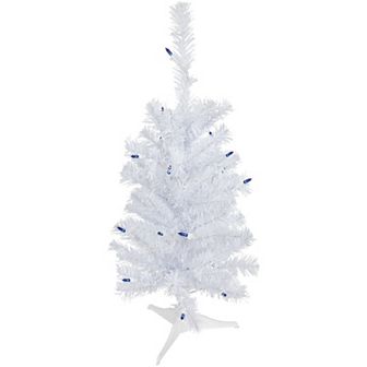 Northlight 2' Pre-Lit Woodbury White Pine Slim Artificial Christmas Tree - Blue Lights