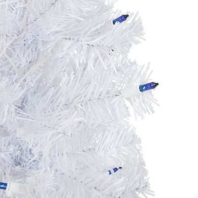 Northlight 2' Pre-Lit Woodbury White Pine Slim Artificial Christmas Tree - Blue Lights