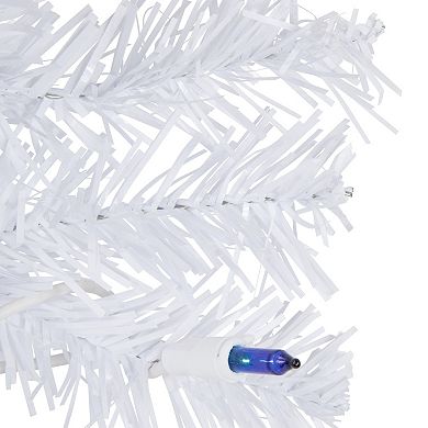 Northlight 2' Pre-Lit Woodbury White Pine Slim Artificial Christmas Tree - Blue Lights