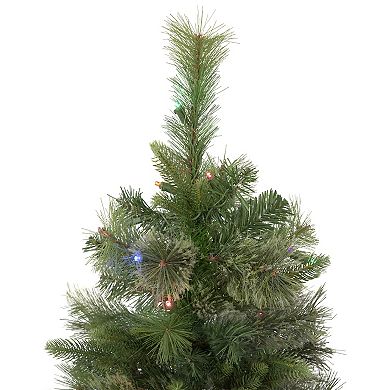Northlight 3' Pre-Lit Kingston Cashmere Pine Full Artificial Christmas Tree with Multi-Colored LED Lights
