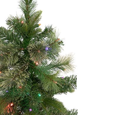 Northlight 3' Pre-Lit Kingston Cashmere Pine Full Artificial Christmas Tree with Multi-Colored LED Lights