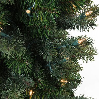 Northlight 4-ft. Pre-Lit Slim Savannah Spruce Slim Artificial Christmas Tree - Clear Lights