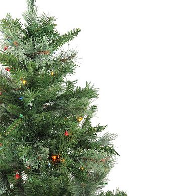 Northlight 4-ft. Pre-Lit Multi Lights Mixed Cashmere Pine Artificial Christmas Tree