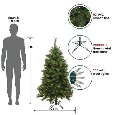 Northlight 5-ft. Pre-Lit Clear Lights Green Medium Beaver Pine Artificial Christmas Tree