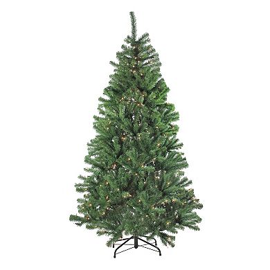 Northlight 4-Piece Pre-Lit Clear Lights Artificial Winter Spruce Christmas Tree, Wreath and Garland Set
