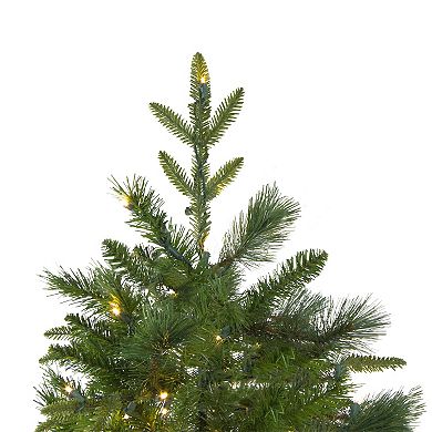 Northlight 6.5-ft. Pre-Lit Warm White LED Lights Rosemary Emerald Angel Pine Artificial Christmas Tree