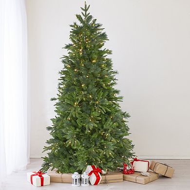 Northlight 6.5-ft. Pre-Lit Warm White LED Lights Rosemary Emerald Angel Pine Artificial Christmas Tree