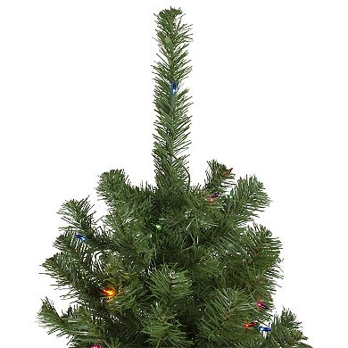 Northlight 6-ft. Pre-Lit Multi Lights Alberta Pine Slim Artificial Christmas Tree