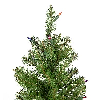 Northlight 6.5-ft. Pre-Lit Multi Lights Silver Lake Fir Pencil Artificial Christmas Tree