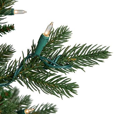 Northlight 6' Pre-Lit Grande Spruce Artificial Christmas Tree with Clear Lights