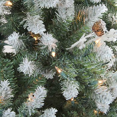 Northlight 6.5-ft. Pre-Lit Medium Frosted Sierra Fir Artificial Christmas Tree - Clear Lights