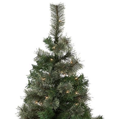 Northlight 6.5-ft. Pre-Lit Clear Lights Oregon Cashmere Pine Artificial Christmas Tree
