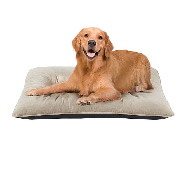 Kohls shop dog bed