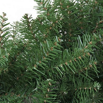 Northlight Green Northern Pine Artificial Christmas Wreath - 48-in. Unlit