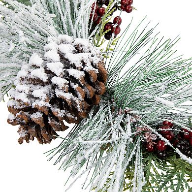 Northlight Frosted Mixed Foliage with Berries and Pinecone Artificial Christmas Wreath 16-in. Unlit