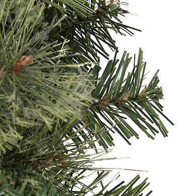 Northlight Kingston Cashmere Pine Commercial Size Artificial Christmas Wreath 60-in. Unlit