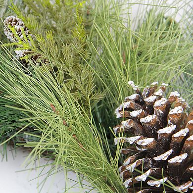 Northlight Mixed Long Needle Pine and Pine Cone Artificial Christmas Wreath - 28-in. Unlit