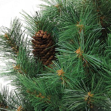Northlight Green Royal Oregon Pine Artificial Christmas Wreath with Pinecones 48-in. Unlit